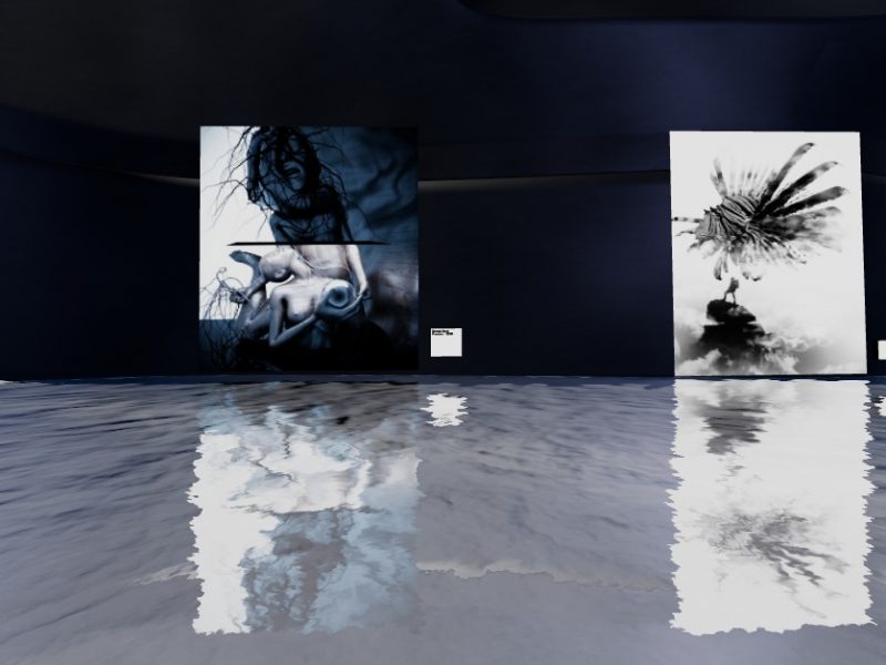 arium-screenshot-whale-community-the-story-of-a-rebirth-odby