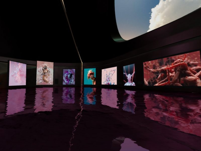 arium-screenshot-whale-community-giant-swan-dbdk