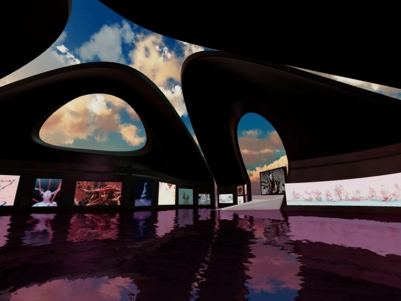 arium-screenshot-whale-community-giant-swan-y9ky